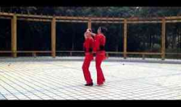 双人舞教学视频,舞步精讲与技巧解析