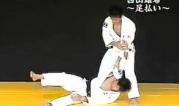 柔道视频,从视频中汲取的力量与智慧